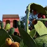 La Corte Rosada Szálloda