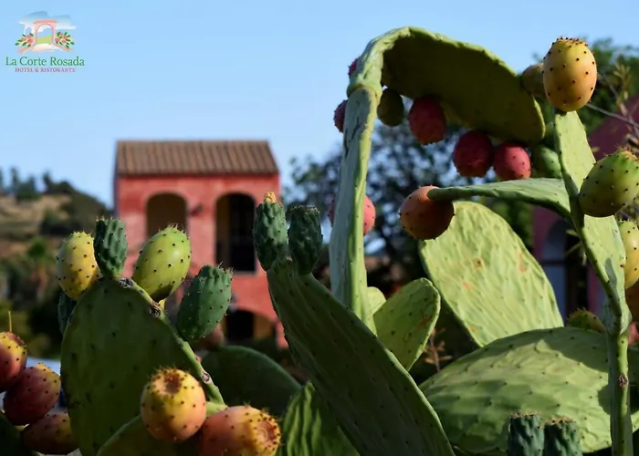 La Corte Rosada Hotel